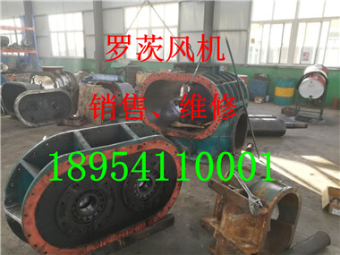 mmexport1544749723214.jpg