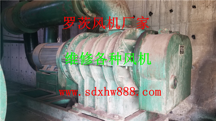 20201010_114429.jpg