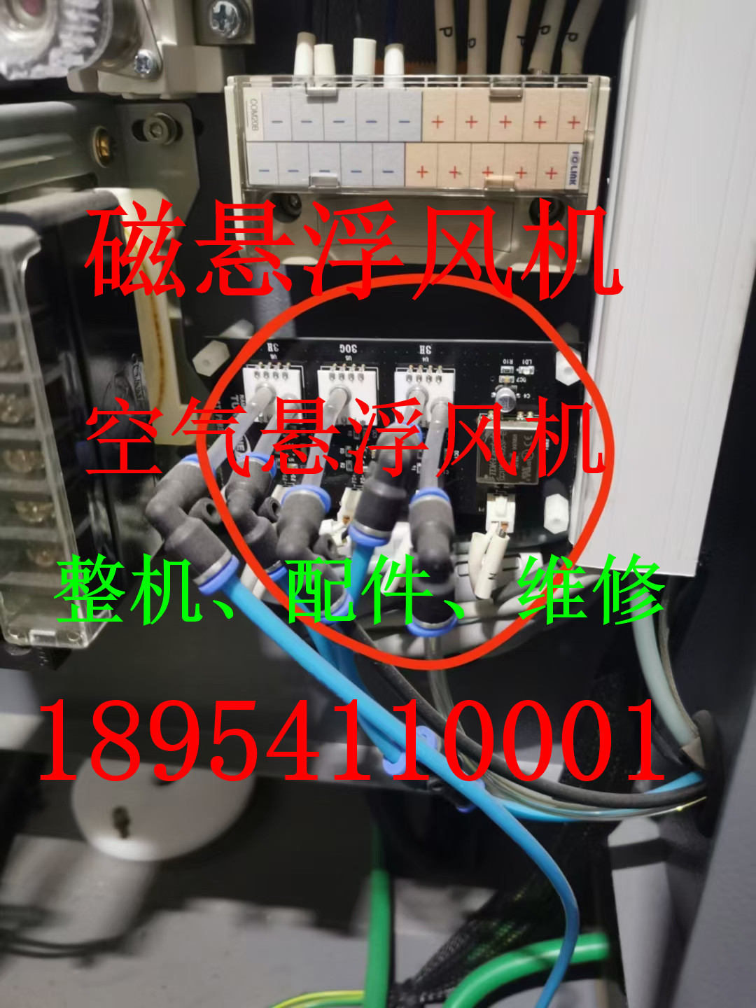 mmexport1609224432285.jpg