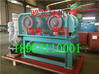 mmexport1498470635111.jpg